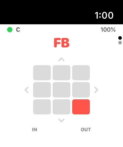 Watch in light mode showing a fastball low and outside